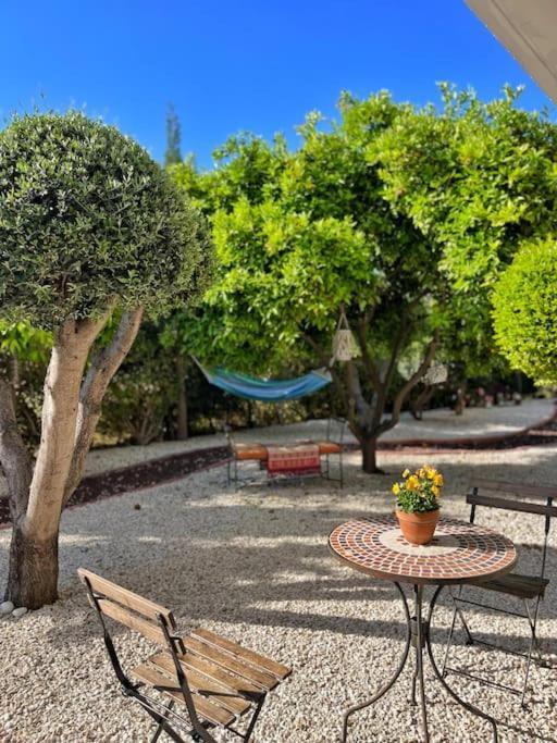 Teo Apartment Paphos Kültér fotó