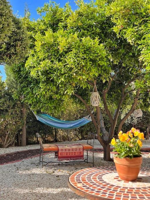 Teo Apartment Paphos Kültér fotó